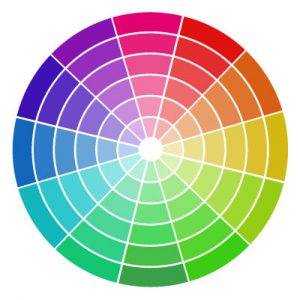 How to Create a Branding Color Palette (In Under An Hour)!